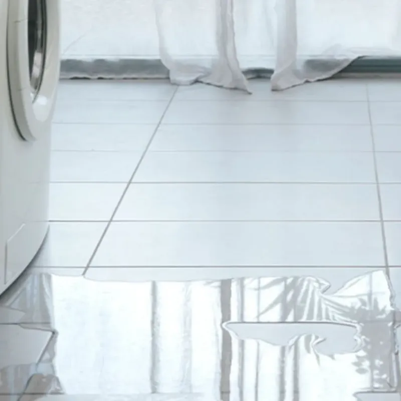Appliance Leak Cleanup in Valmeyer, IL