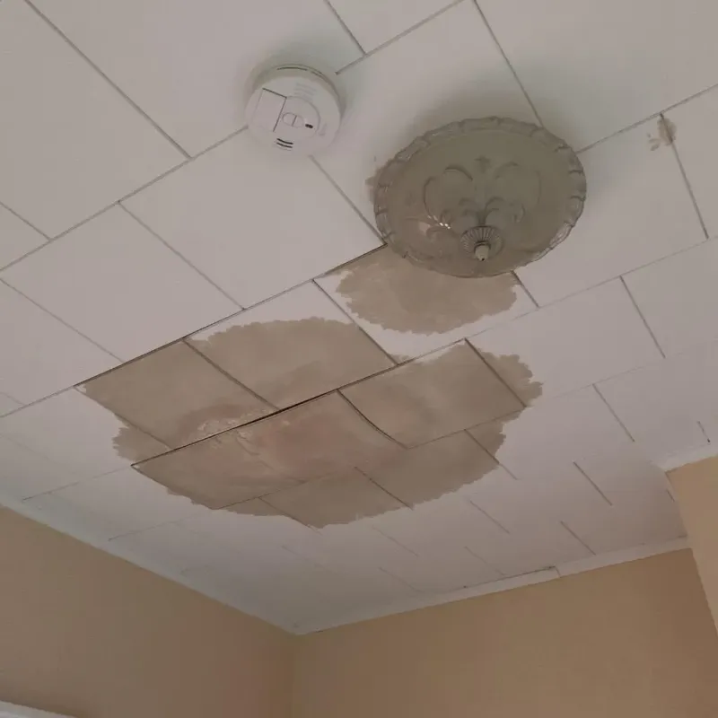 Ceiling Water Damage Repair in Valmeyer, IL