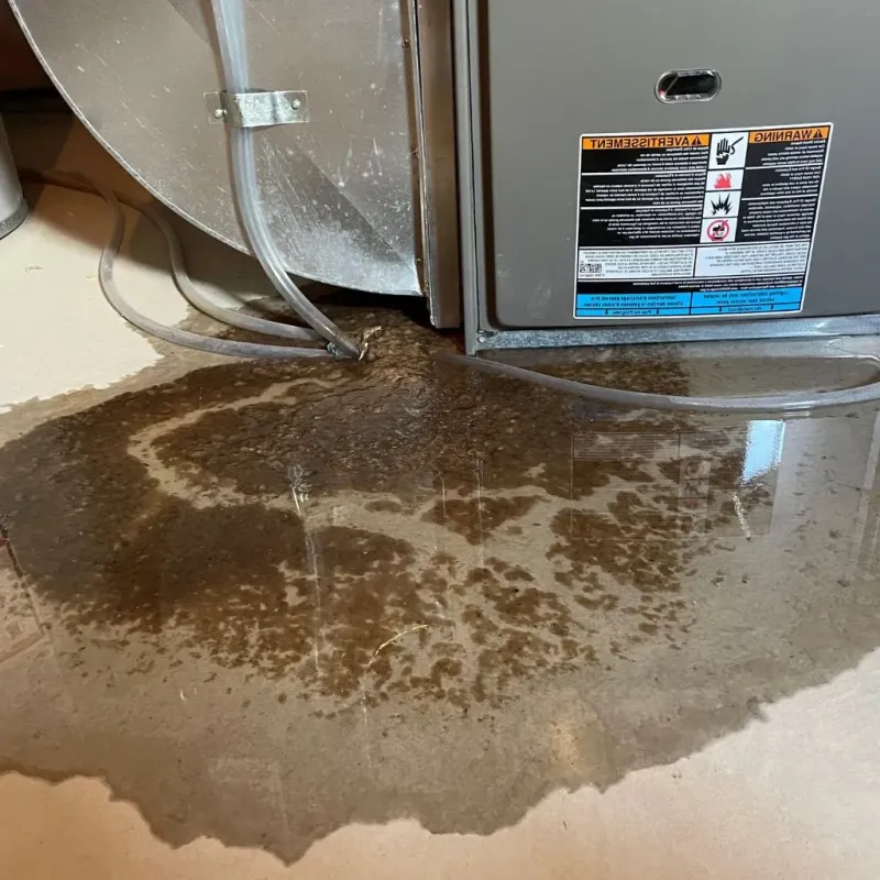 Pipe Burst and Leak Restoration in Valmeyer, IL