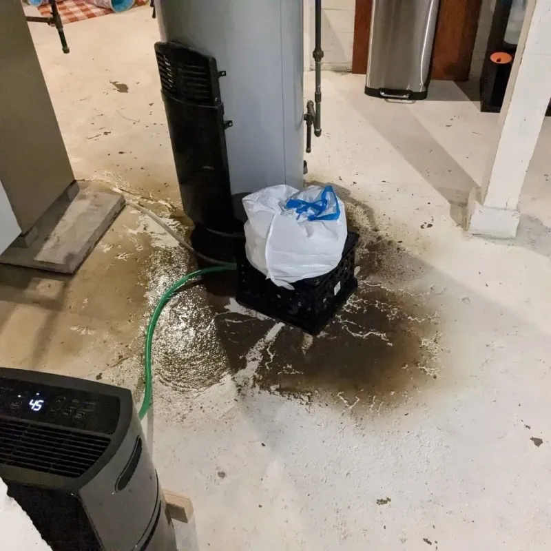 Sewage Backup Cleanup Service in Valmeyer, IL